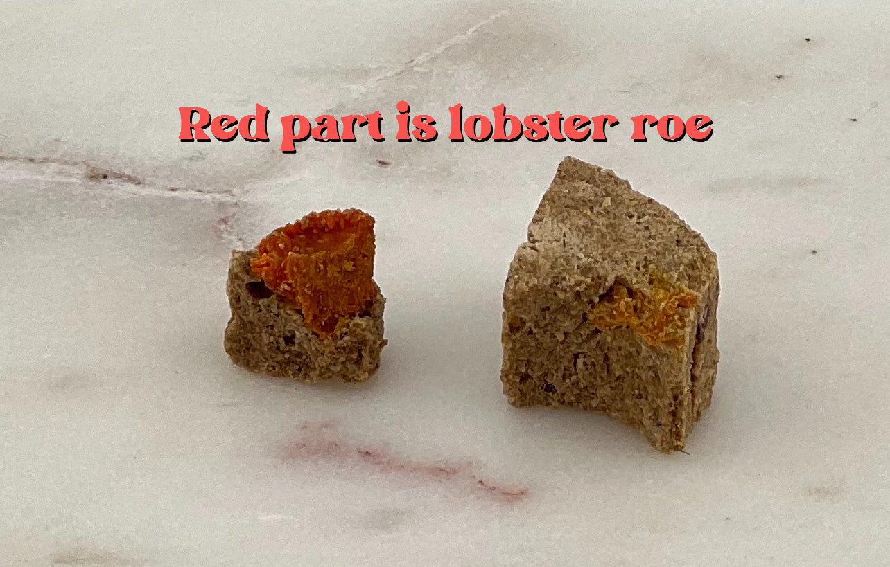 pawssion lobster dog treat